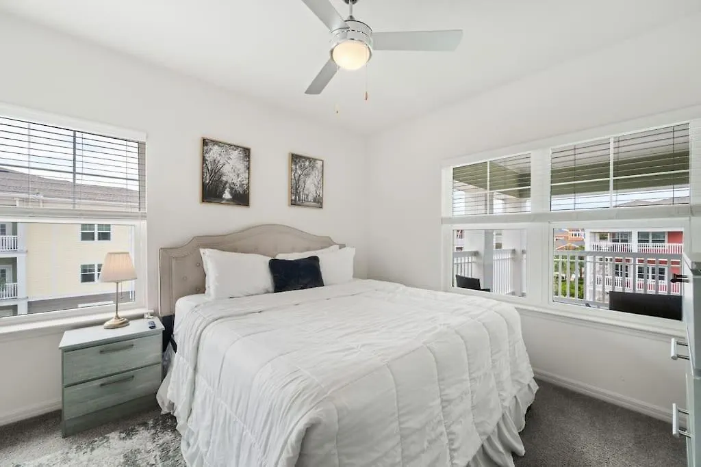 Lavish 2Br Apartment In Tampa